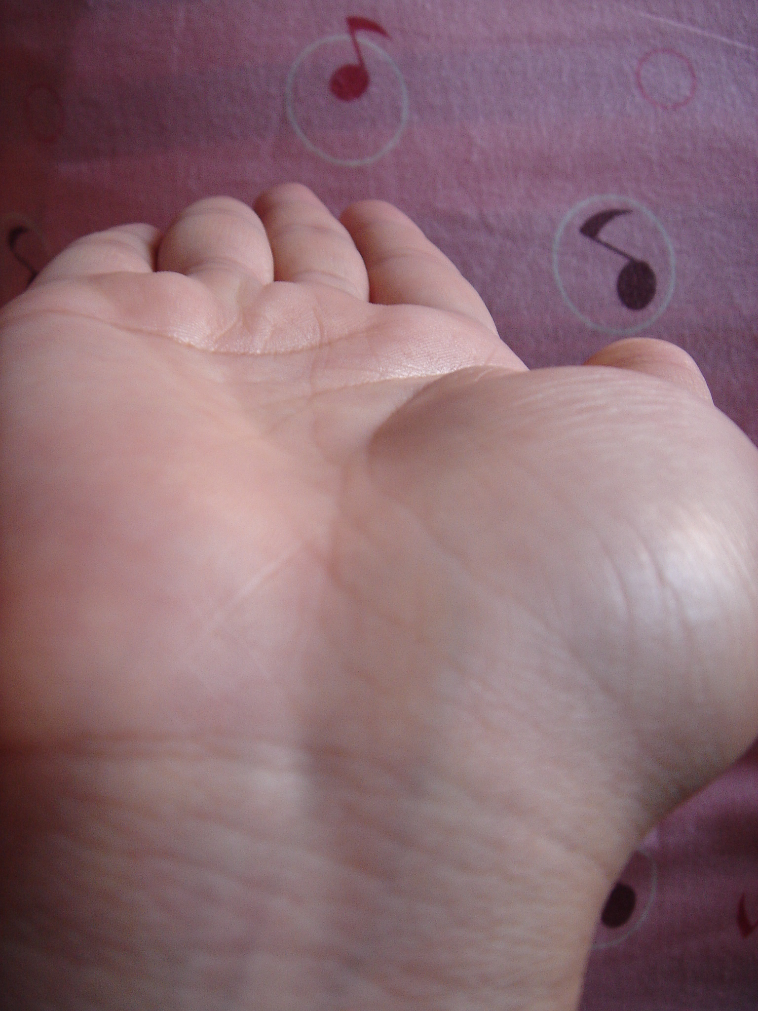 DSC02155.JPG