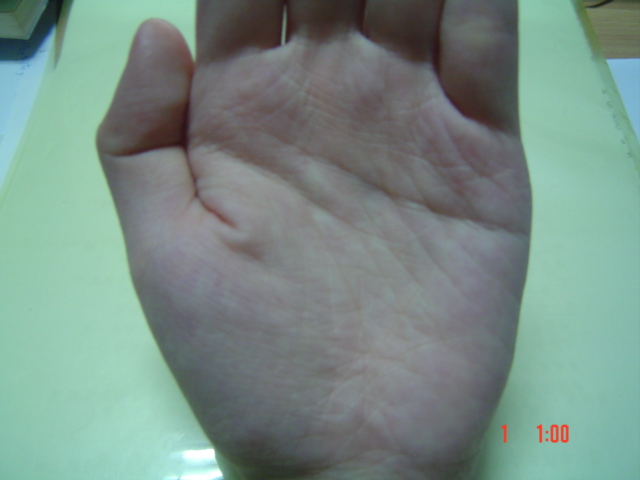 DSC03366.JPG