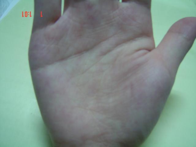 DSC03368.JPG