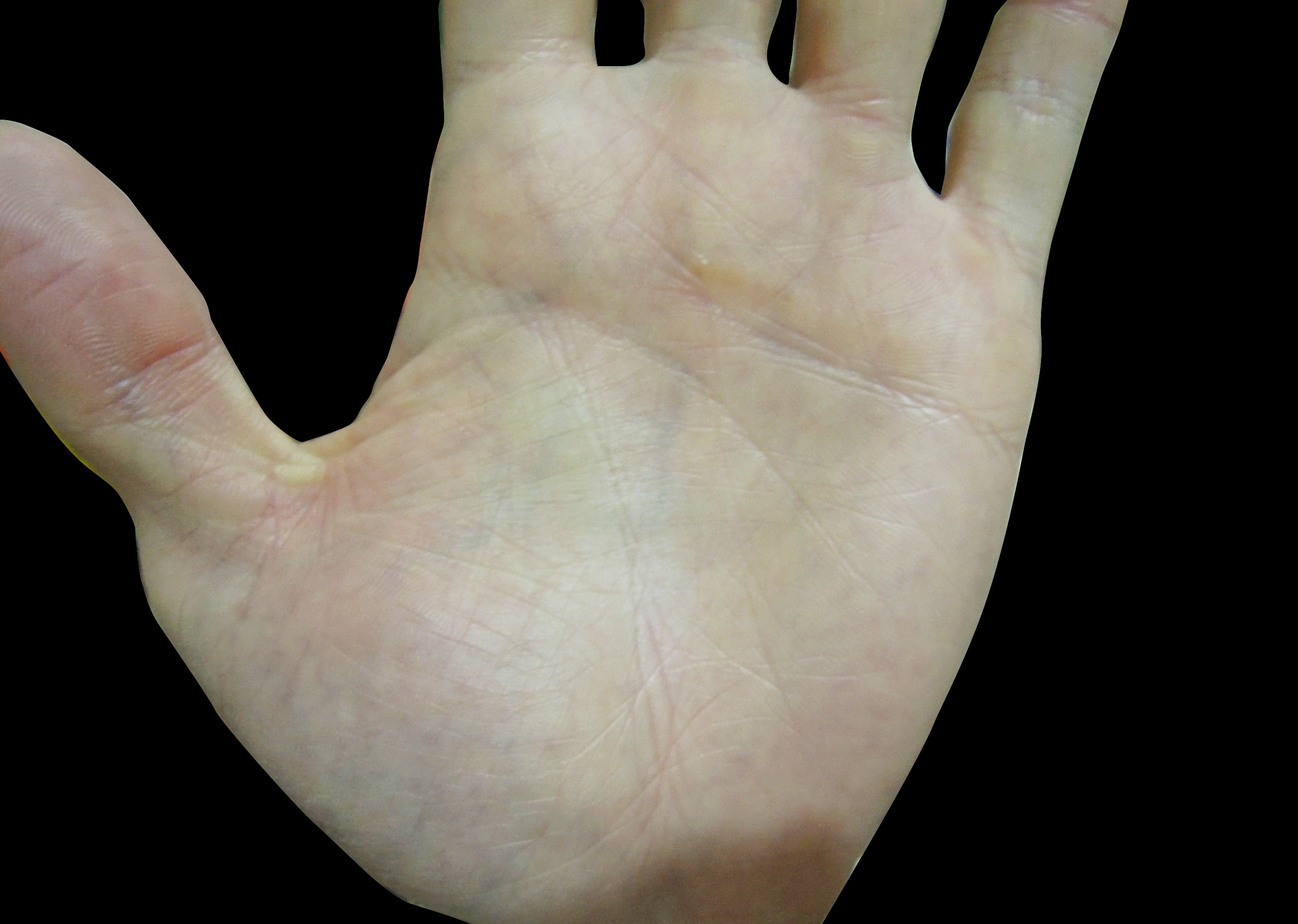 DSCN3043.JPG
