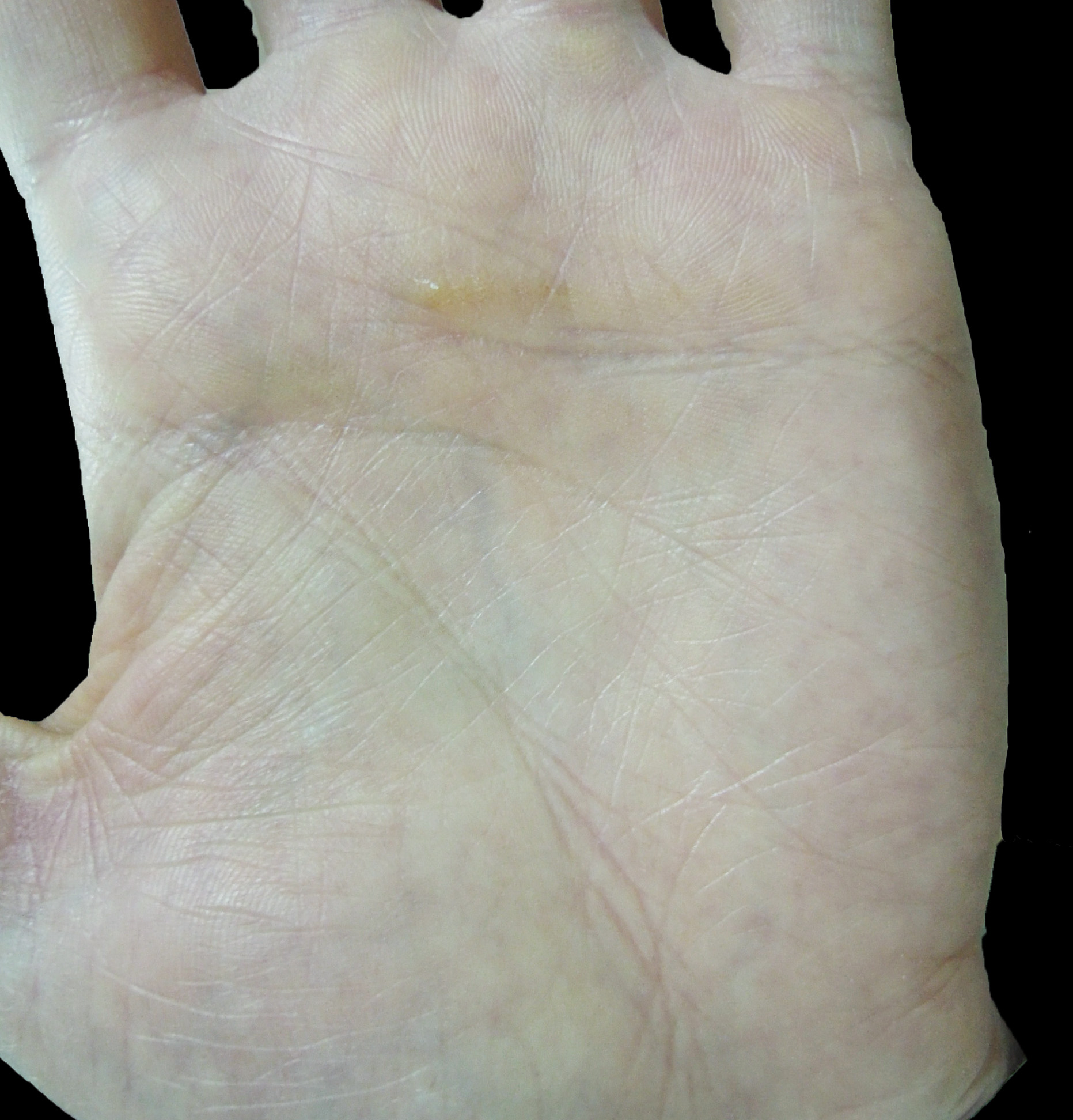 DSCN3044.JPG