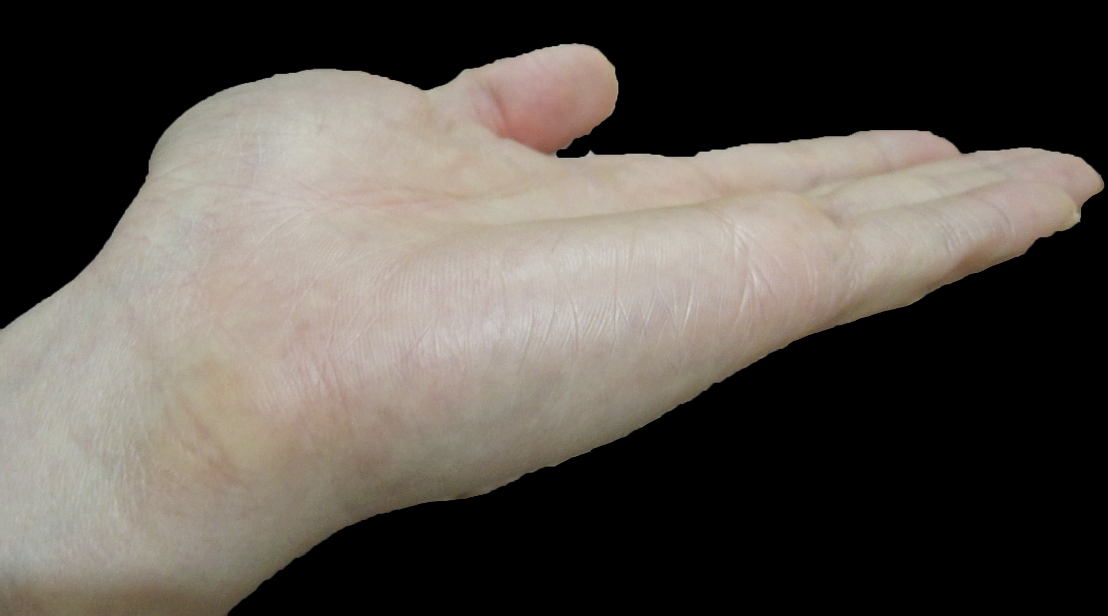 DSCN3047.JPG