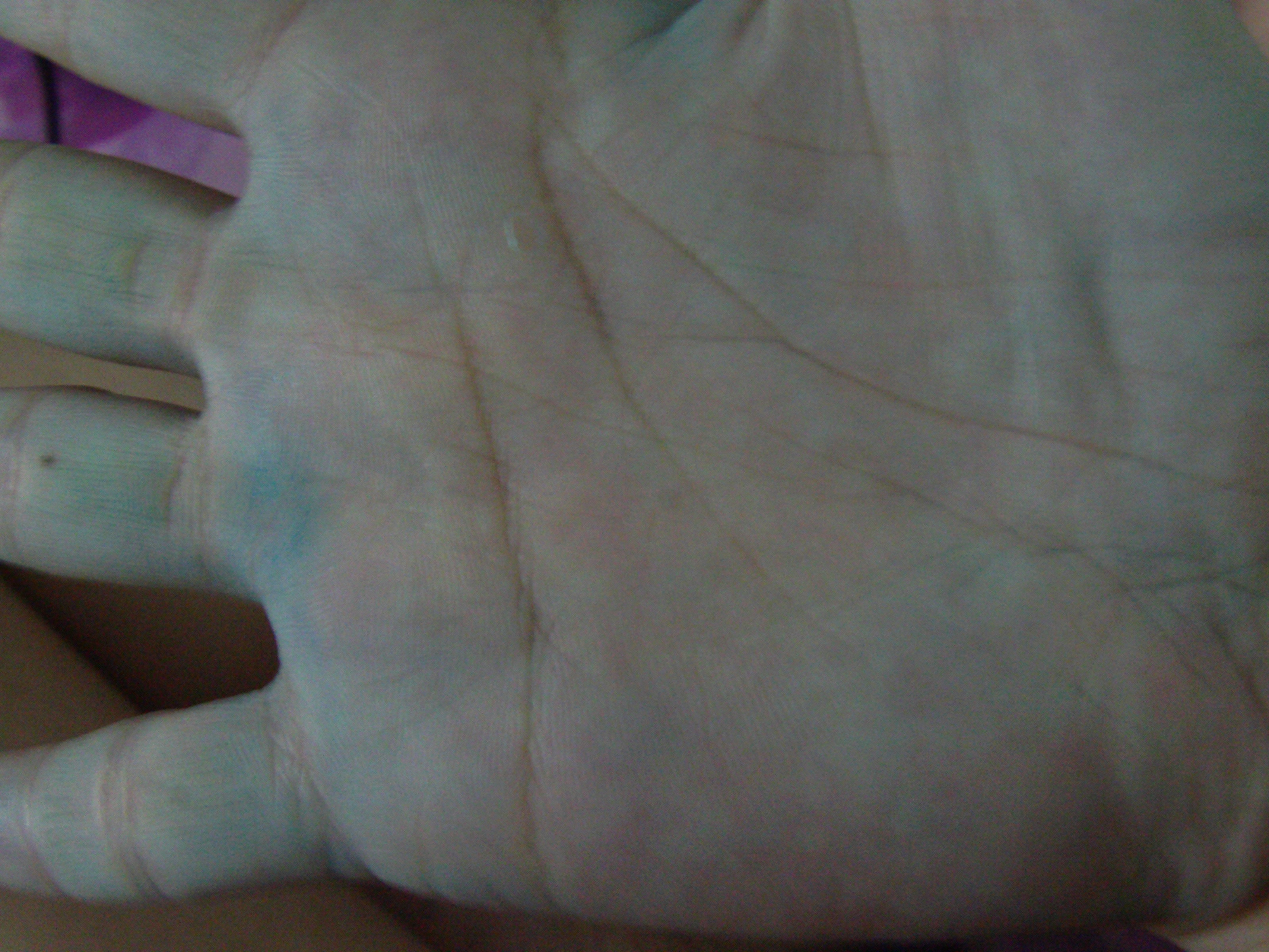 FILE2910.JPG