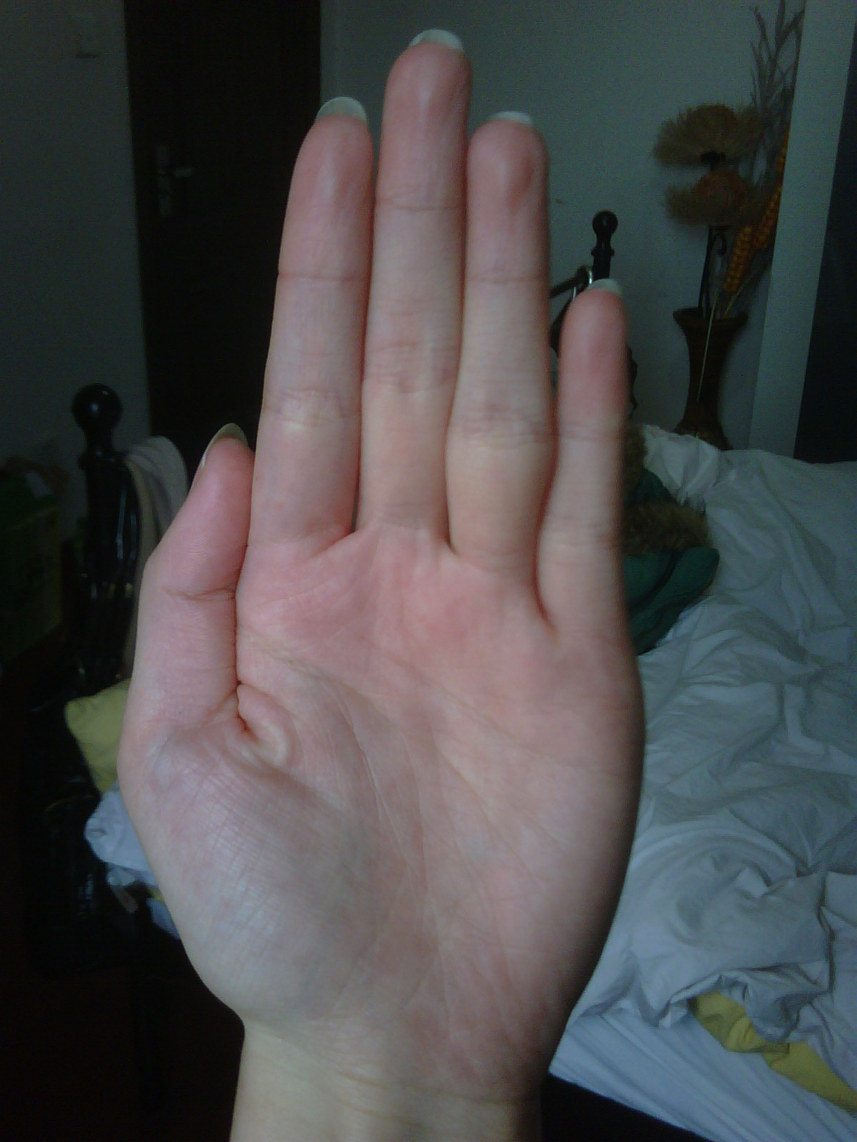 IMG00353-20090324-14352.jpg