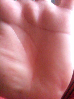 IMG0063A.jpg