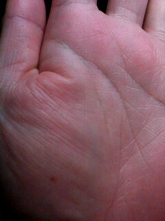 IMG0073A.jpg