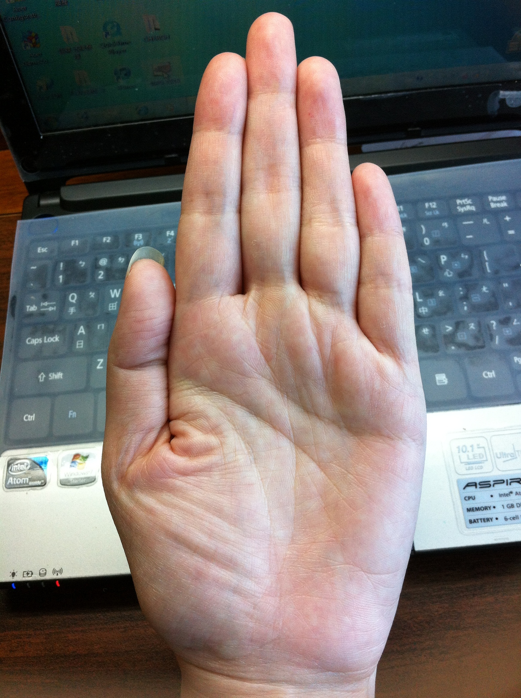IMG_1120.JPG