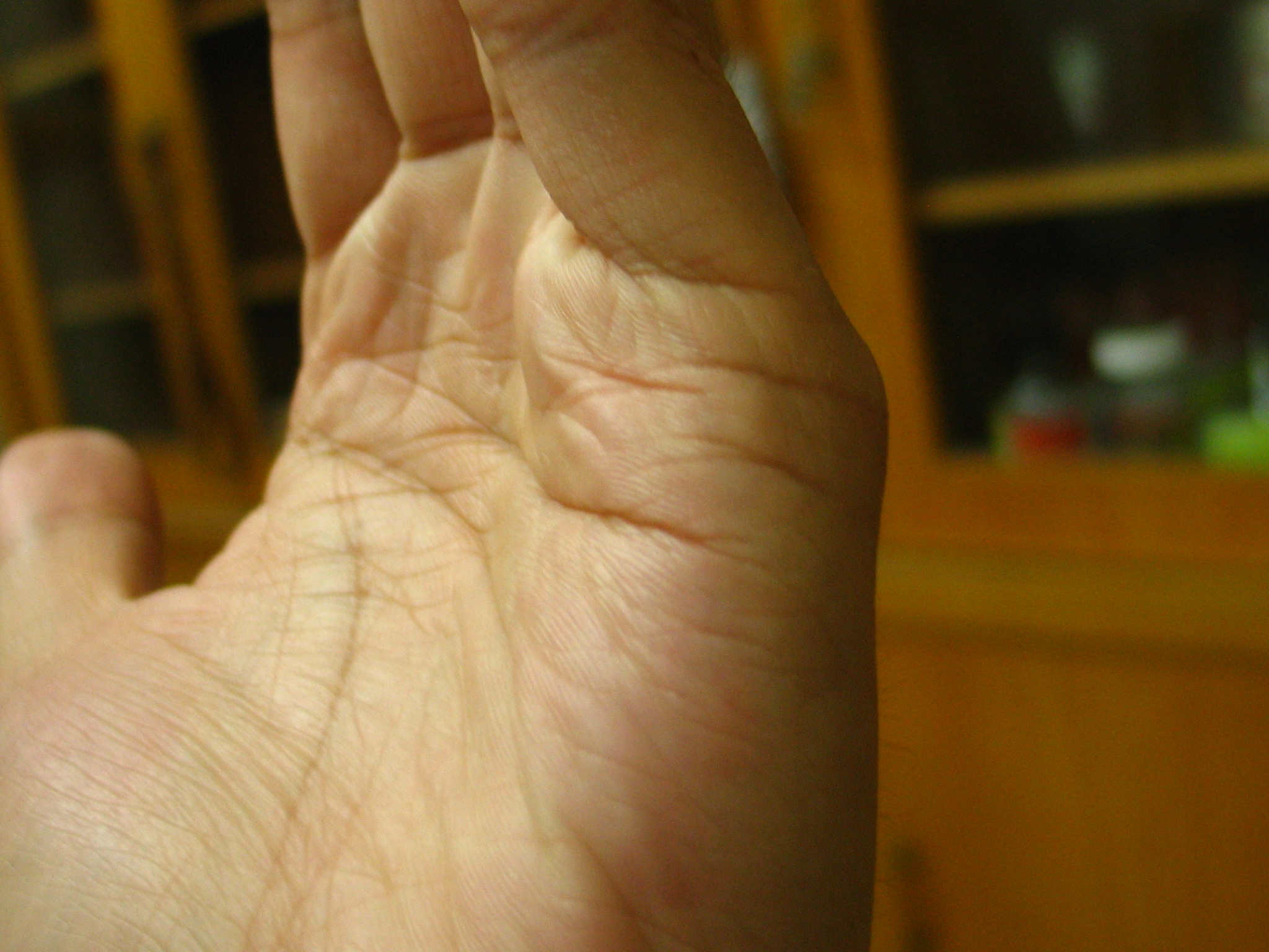 IMG_6139.JPG