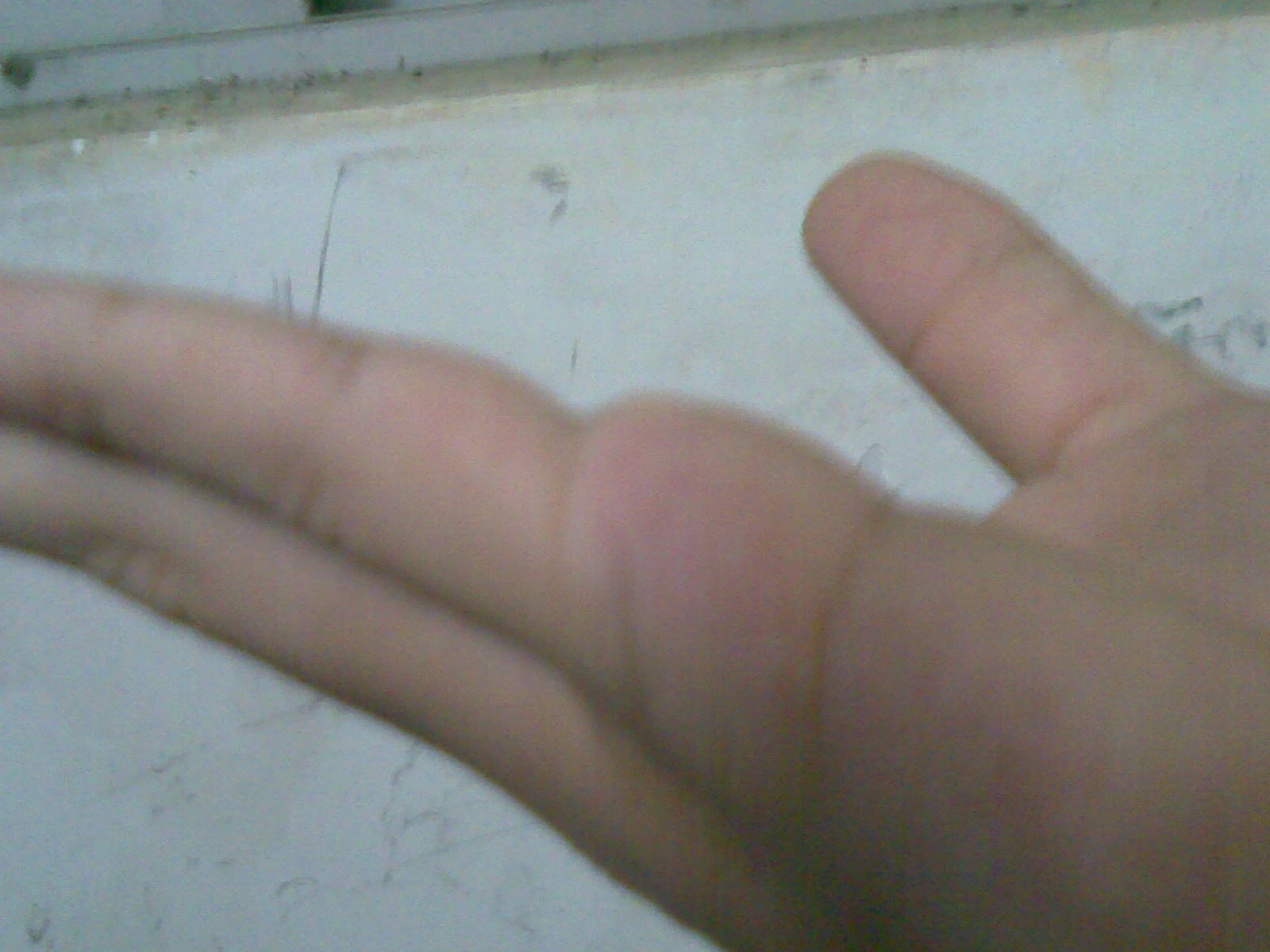 20090530(009).jpg