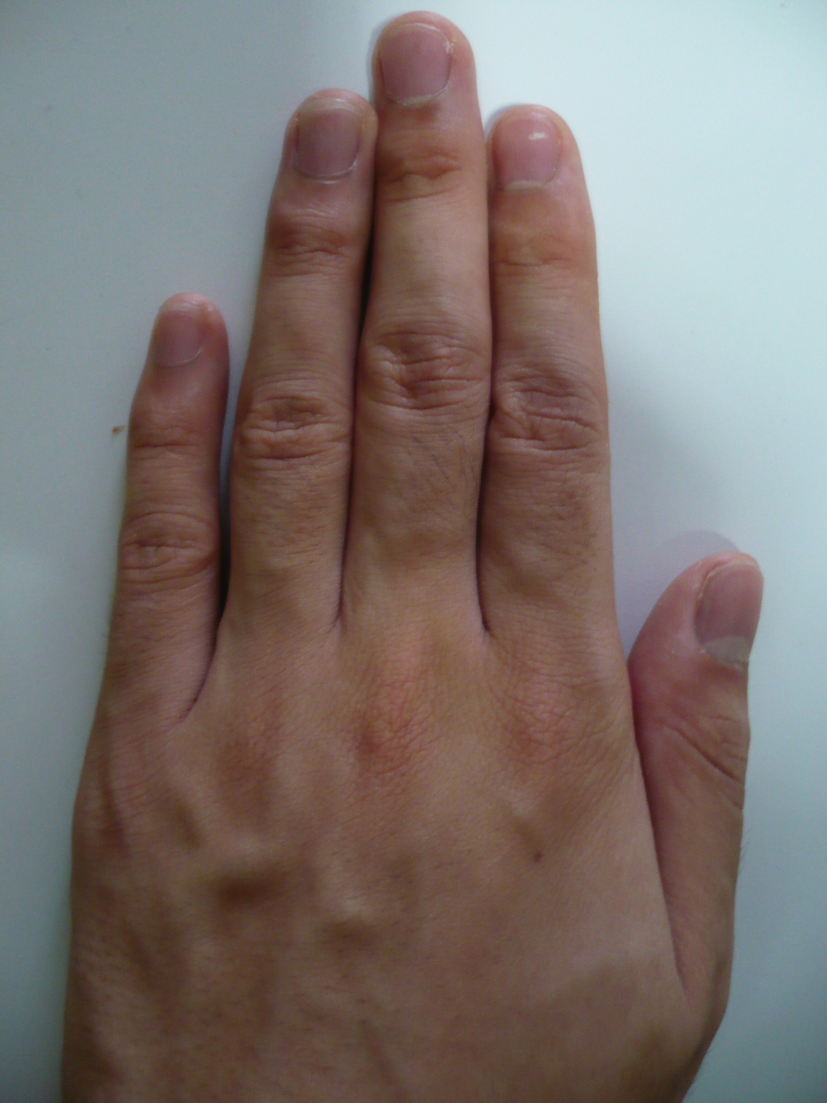 P1010139.jpg
