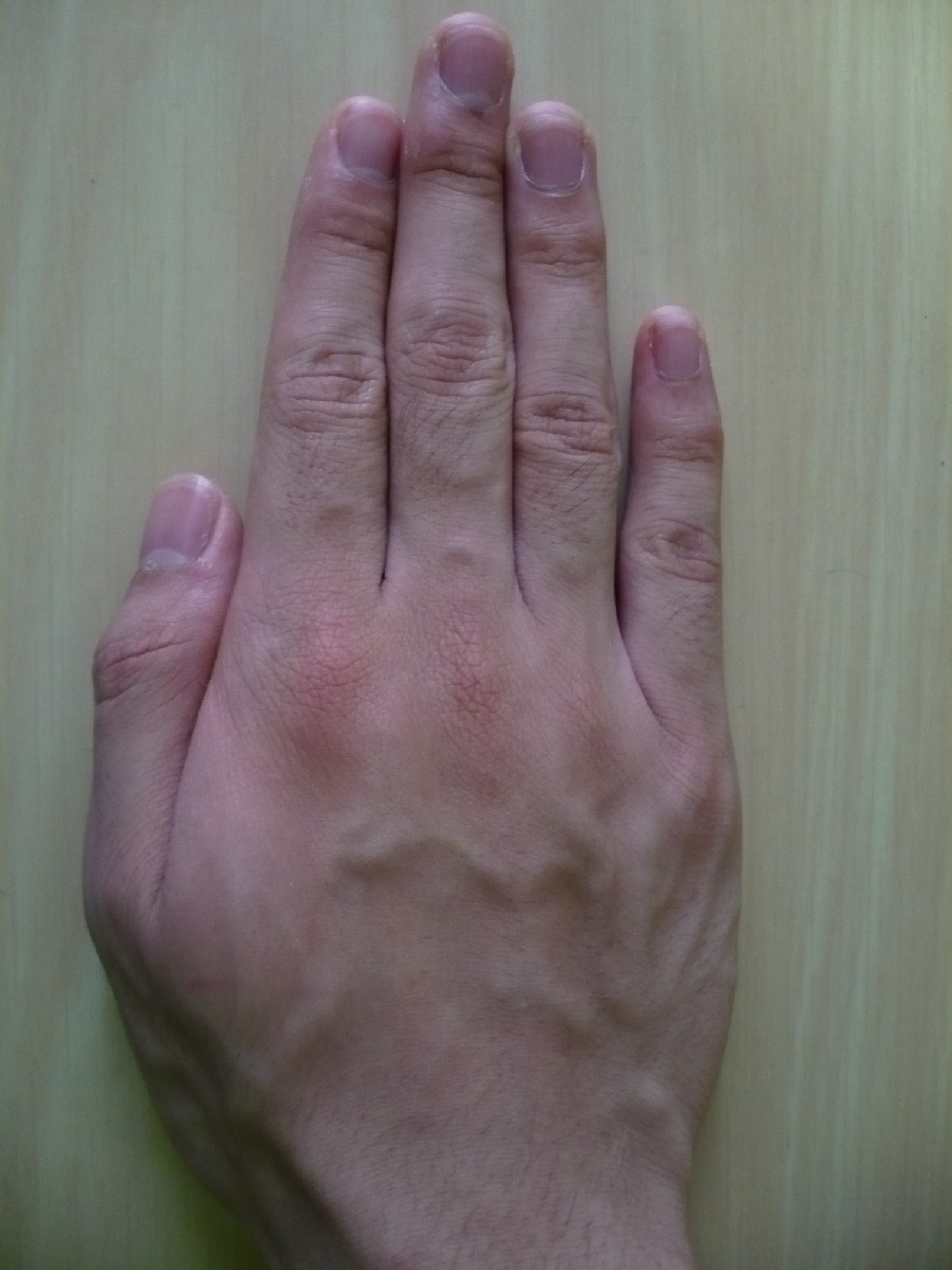P1010144.jpg