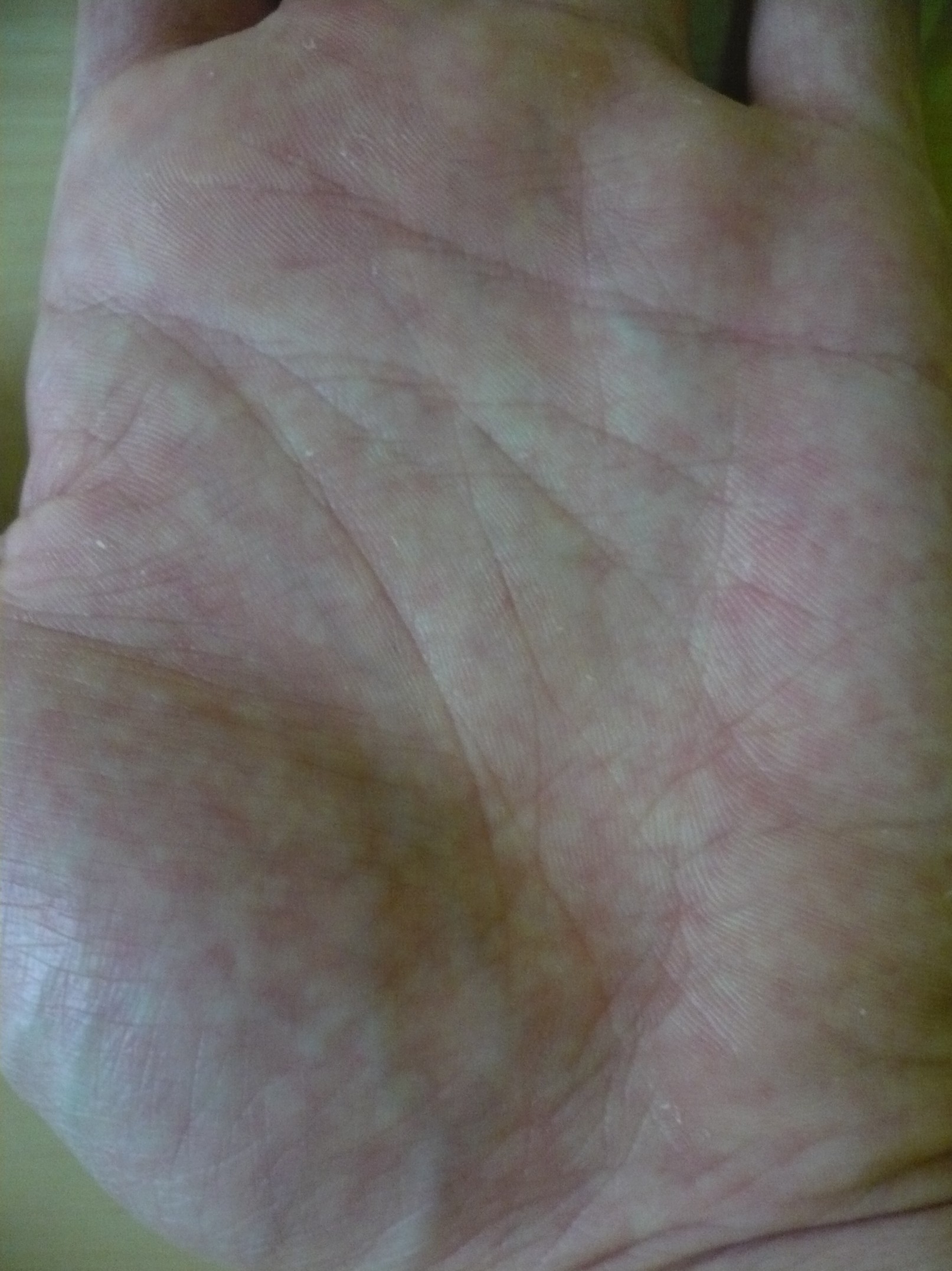 P1010150.jpg