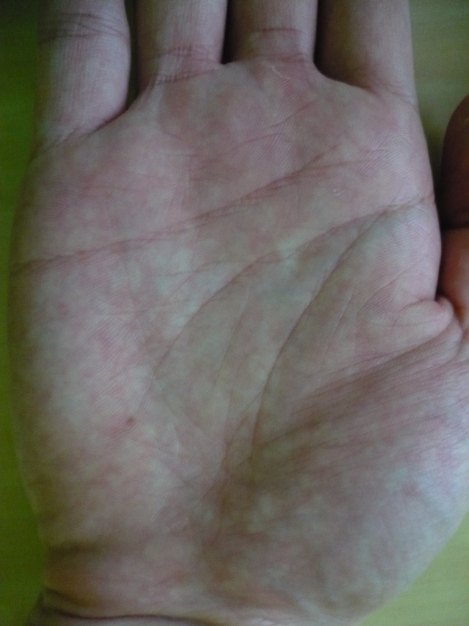 P1010151.jpg