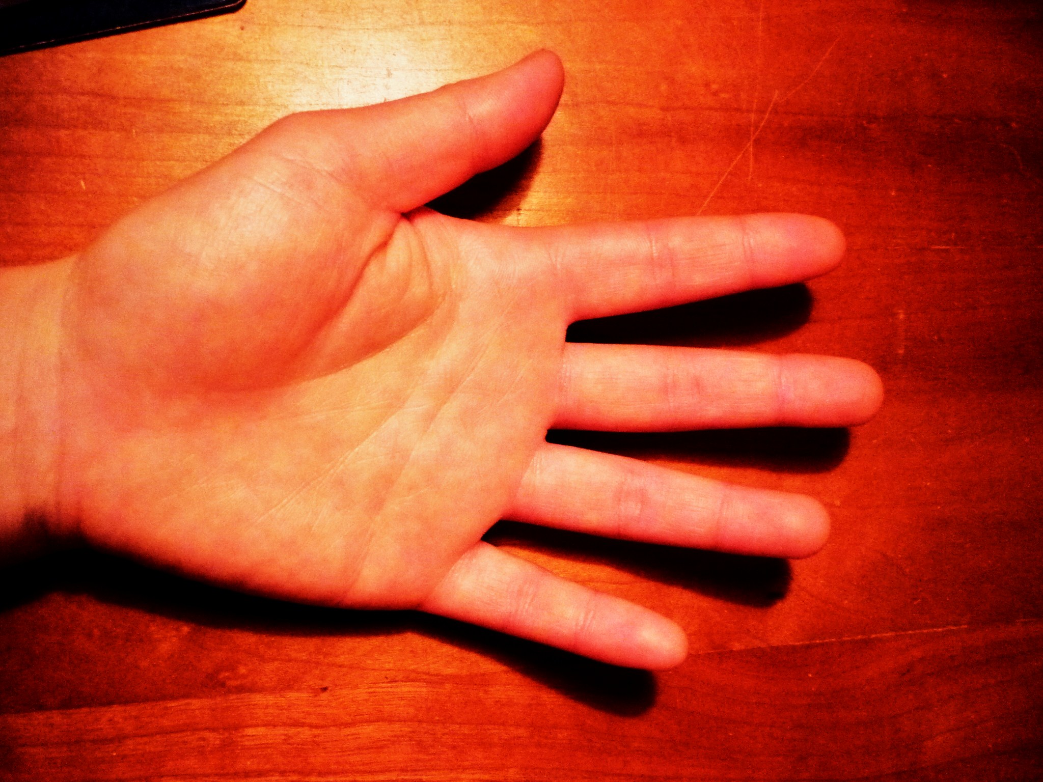 P1010204.JPG