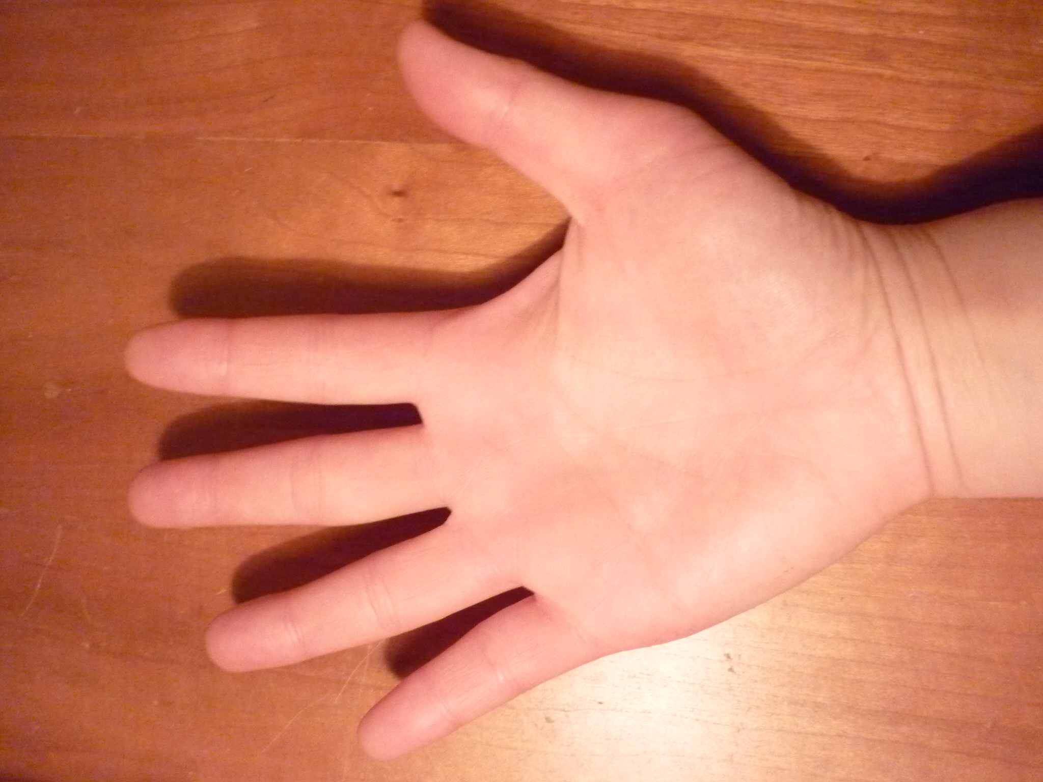 P1010210.JPG