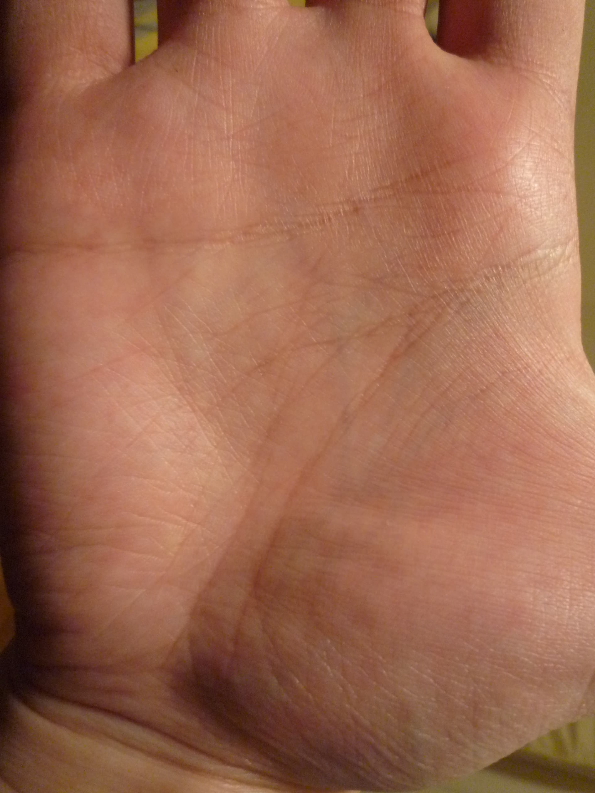 P1080437_mini.JPG