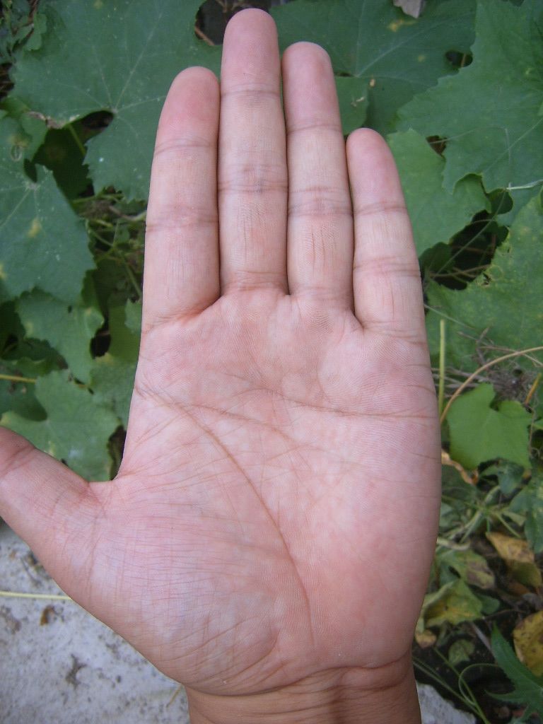 SUC57245.JPG