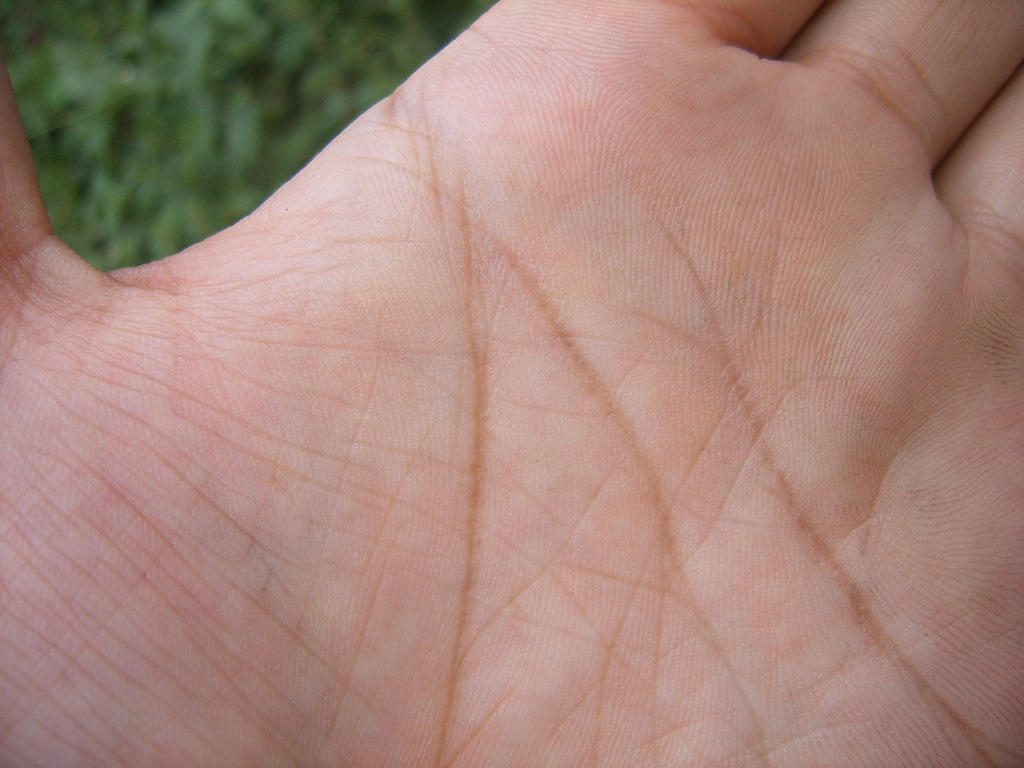 SUC57249.JPG