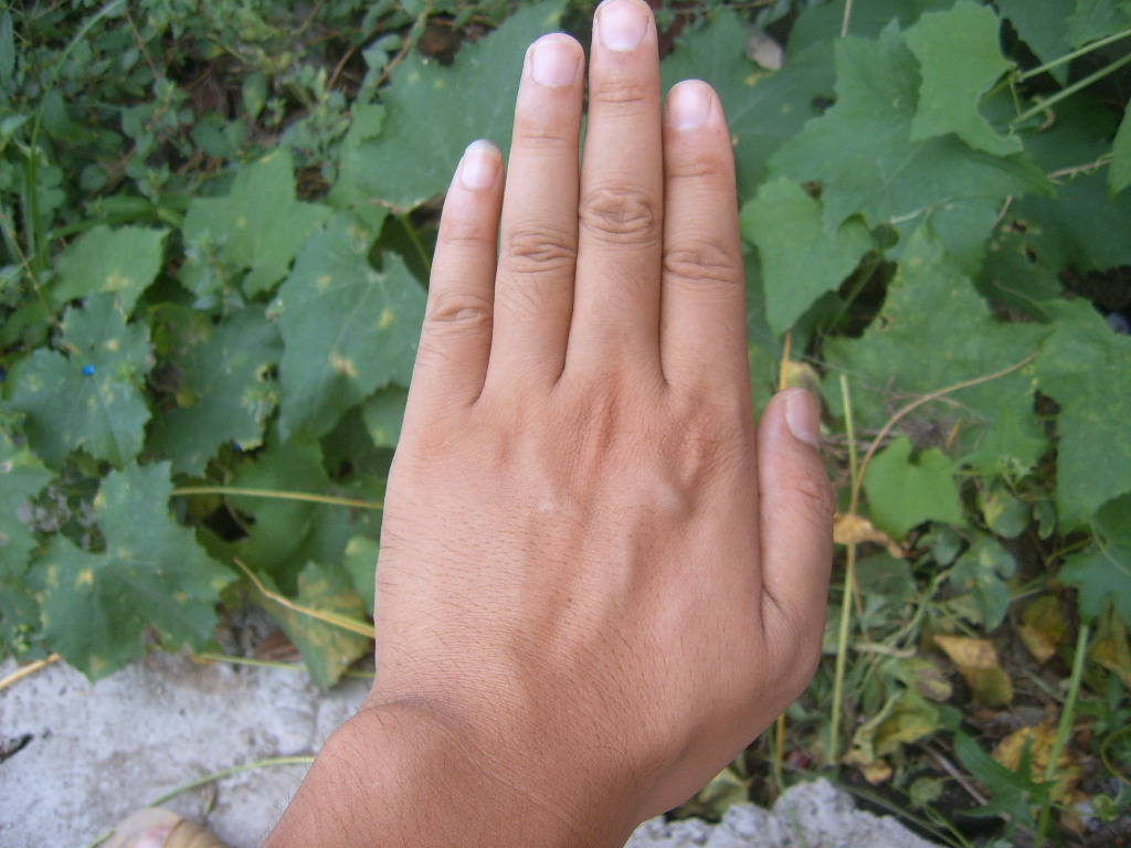 SUC57250.JPG