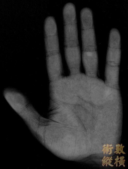 hand2.jpg