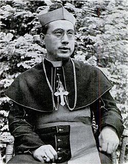 于斌主教1.jpg