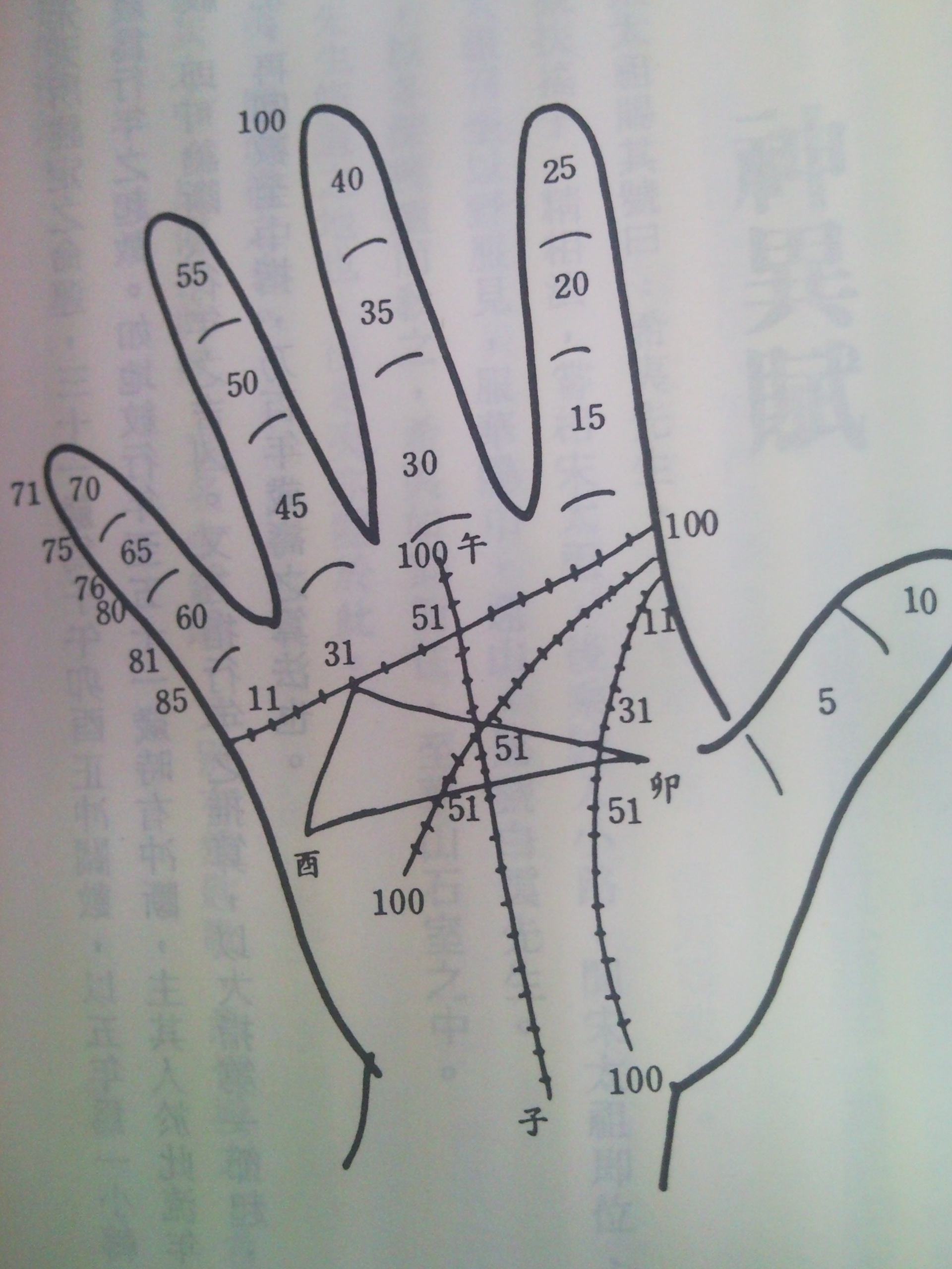 中國.jpg