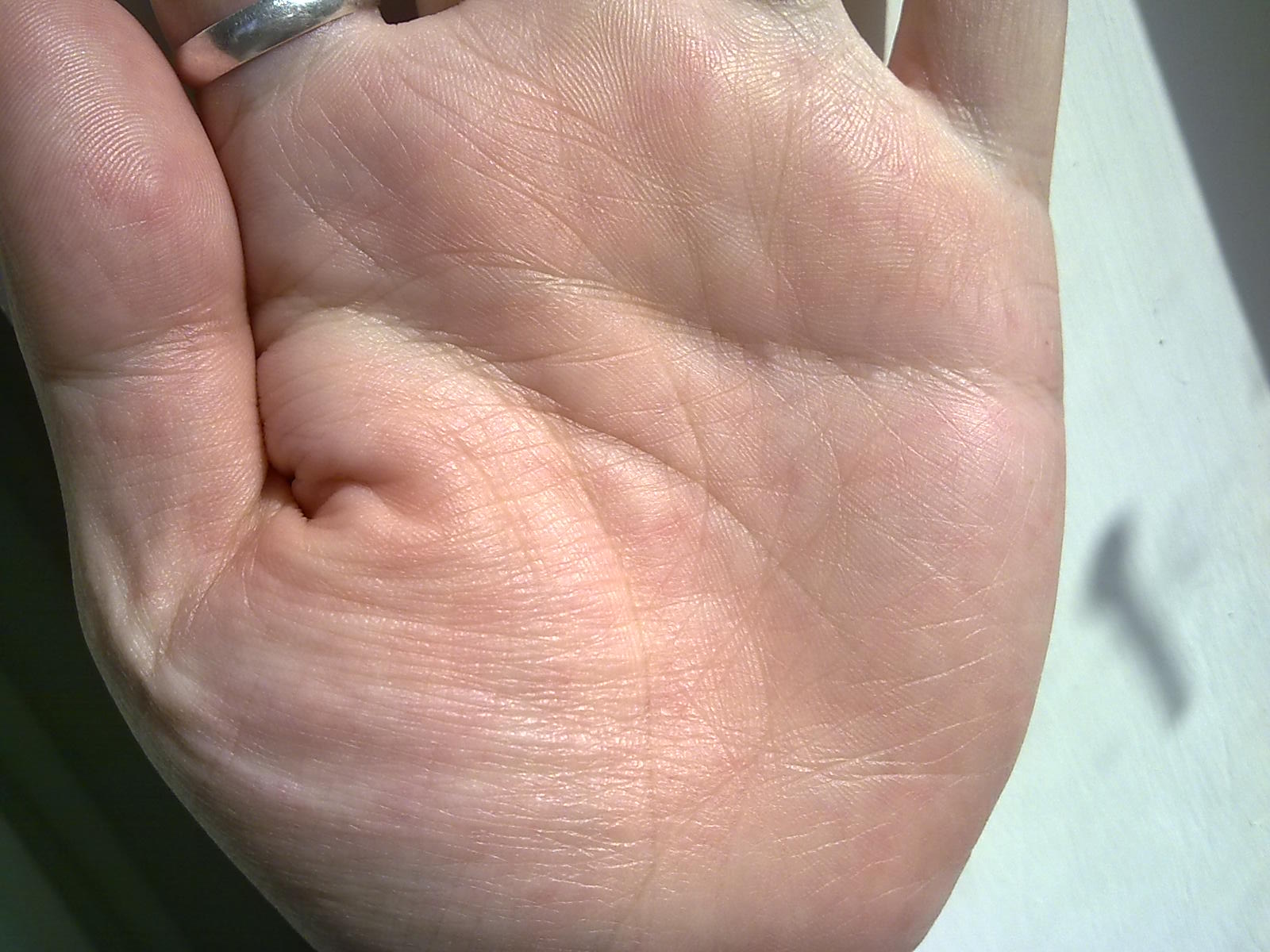手掌（2）.jpg