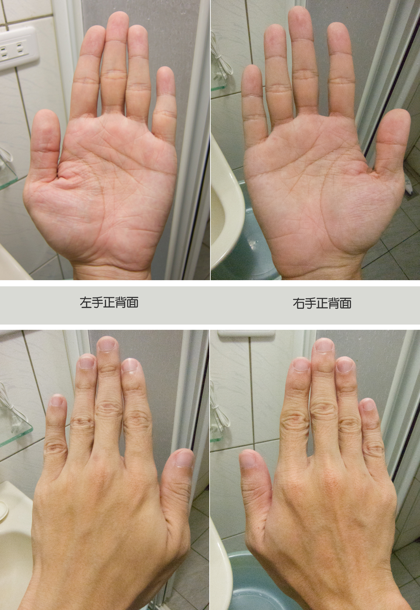 手正背面.jpg