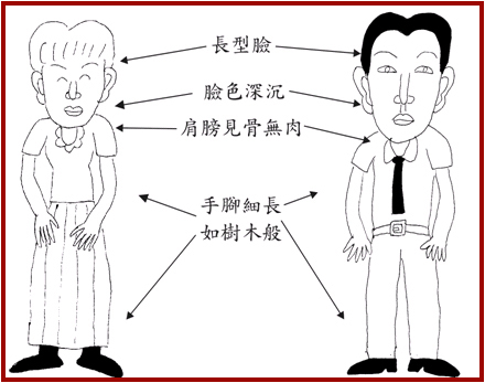 木形.jpg