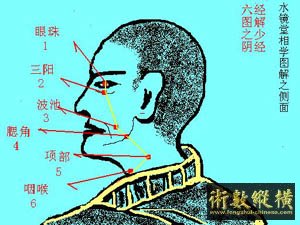 水镜堂相学图解之侧面图（ 少阴经     ）2.JPG