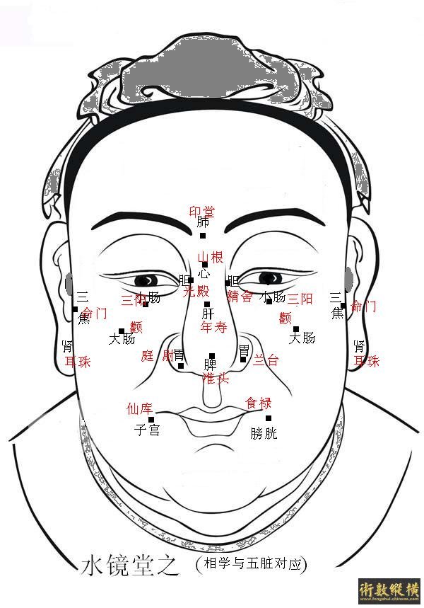 水镜堂之医家五脏与面部对应图（32）AA.JPG