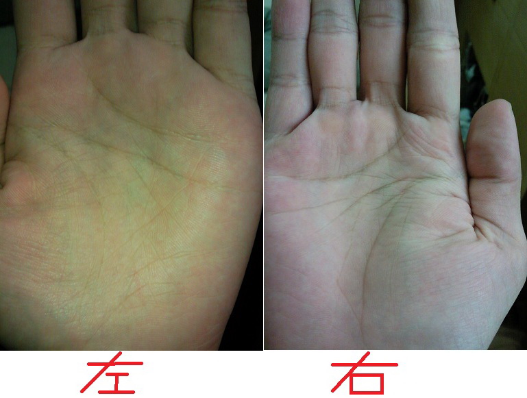 左.jpg