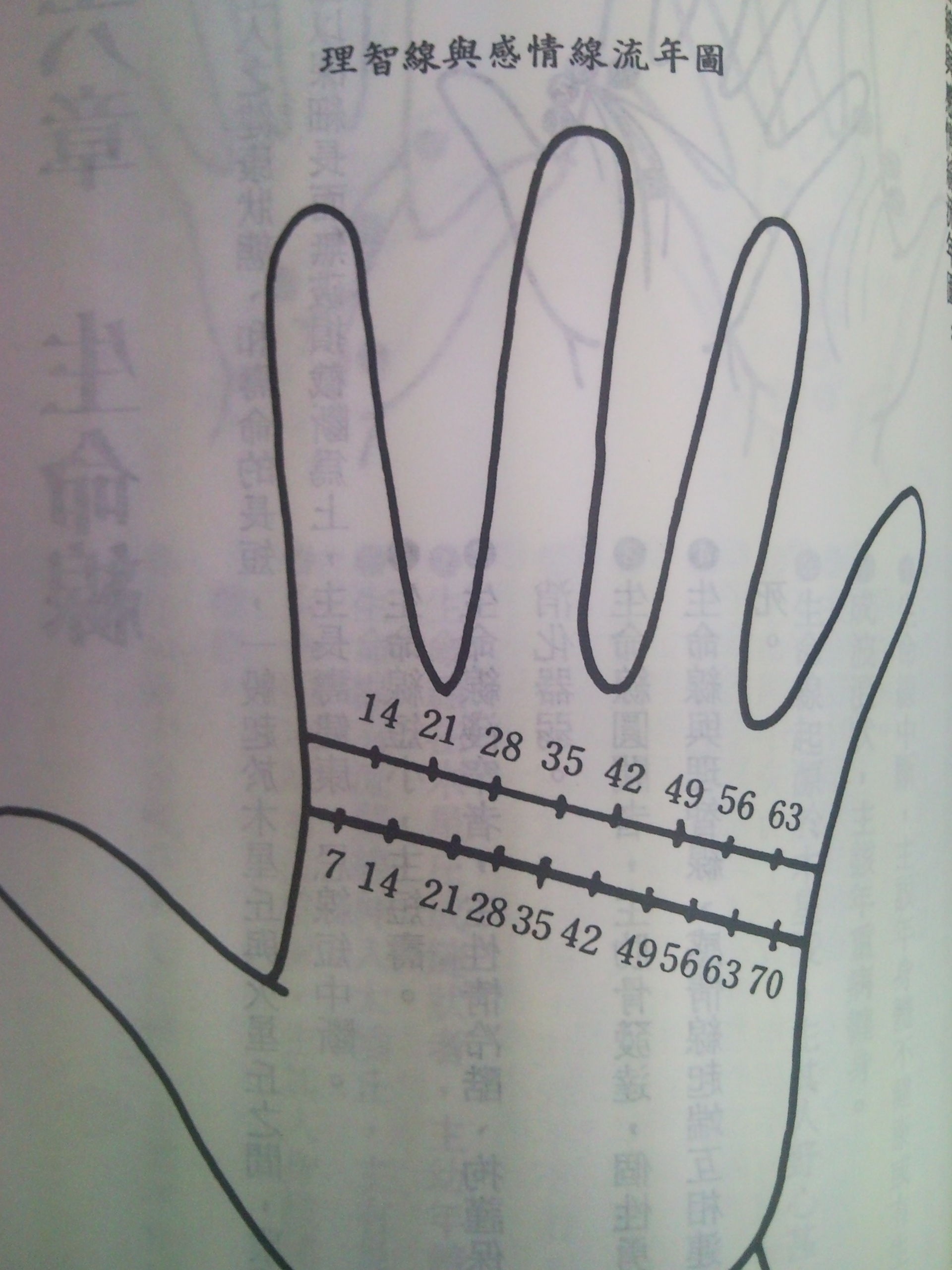 西洋2.jpg