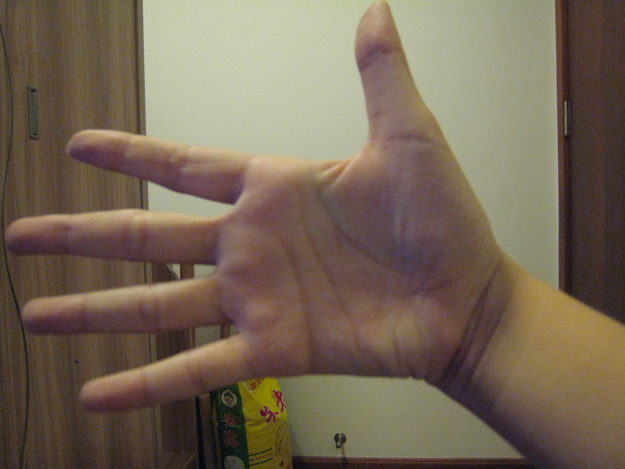 素拓营 001.jpg