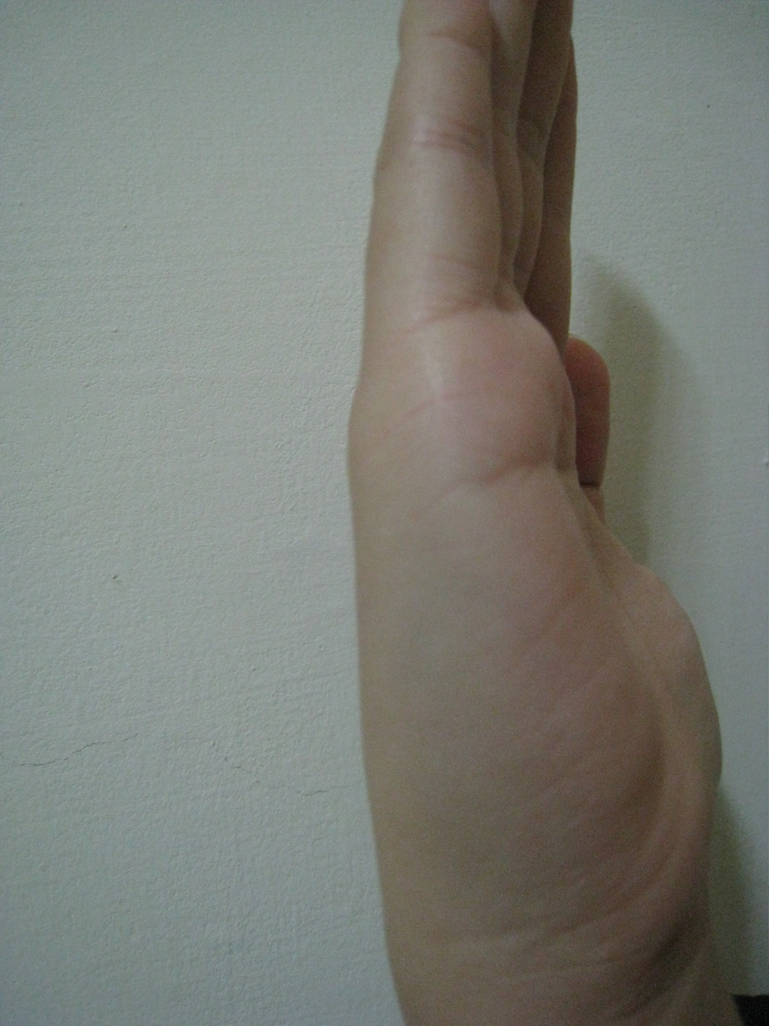 照片 131.jpg