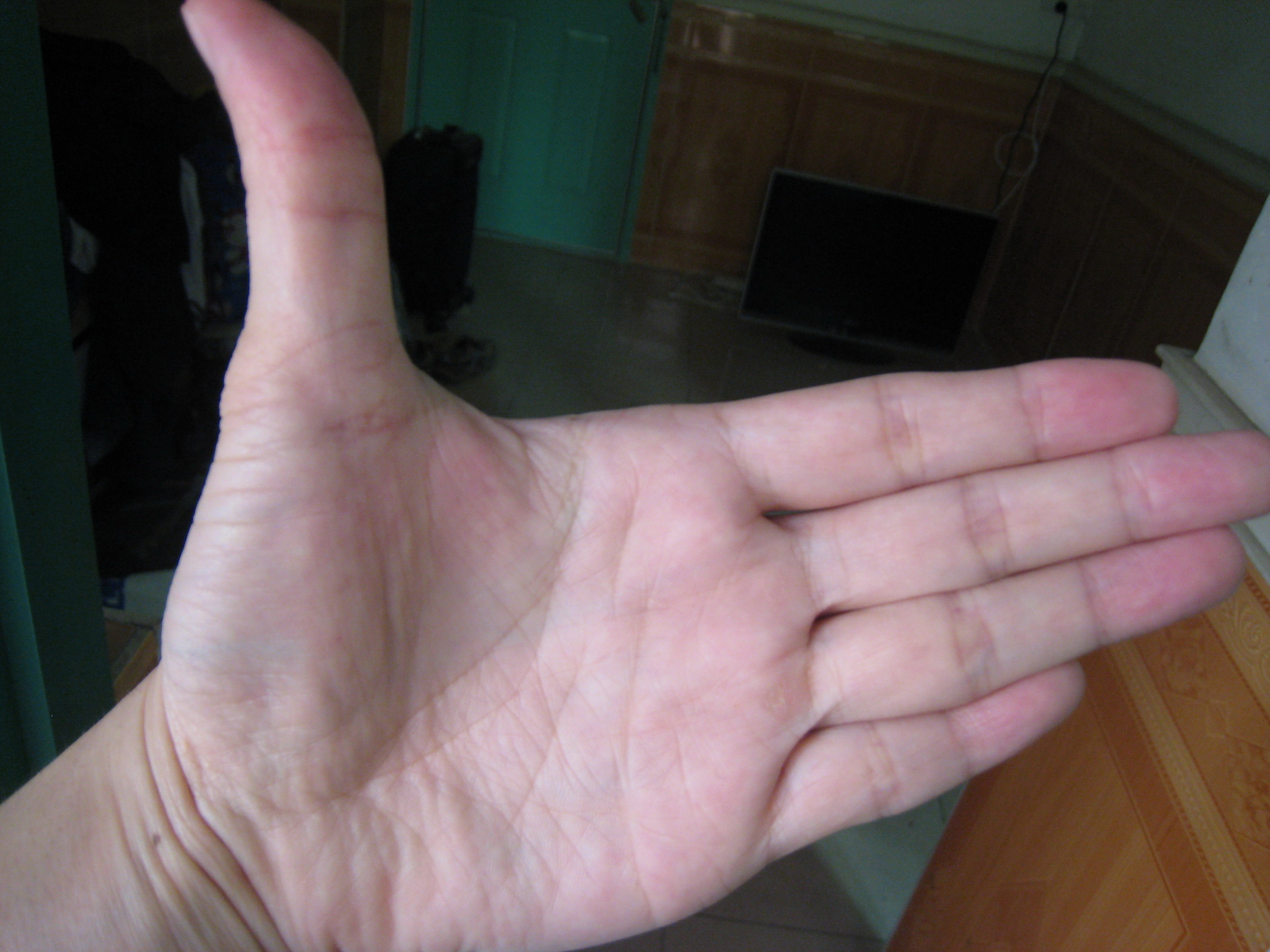 照片1.JPG