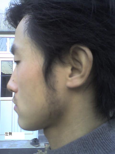照片_112508_011.jpg