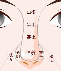 鼻7.jpg