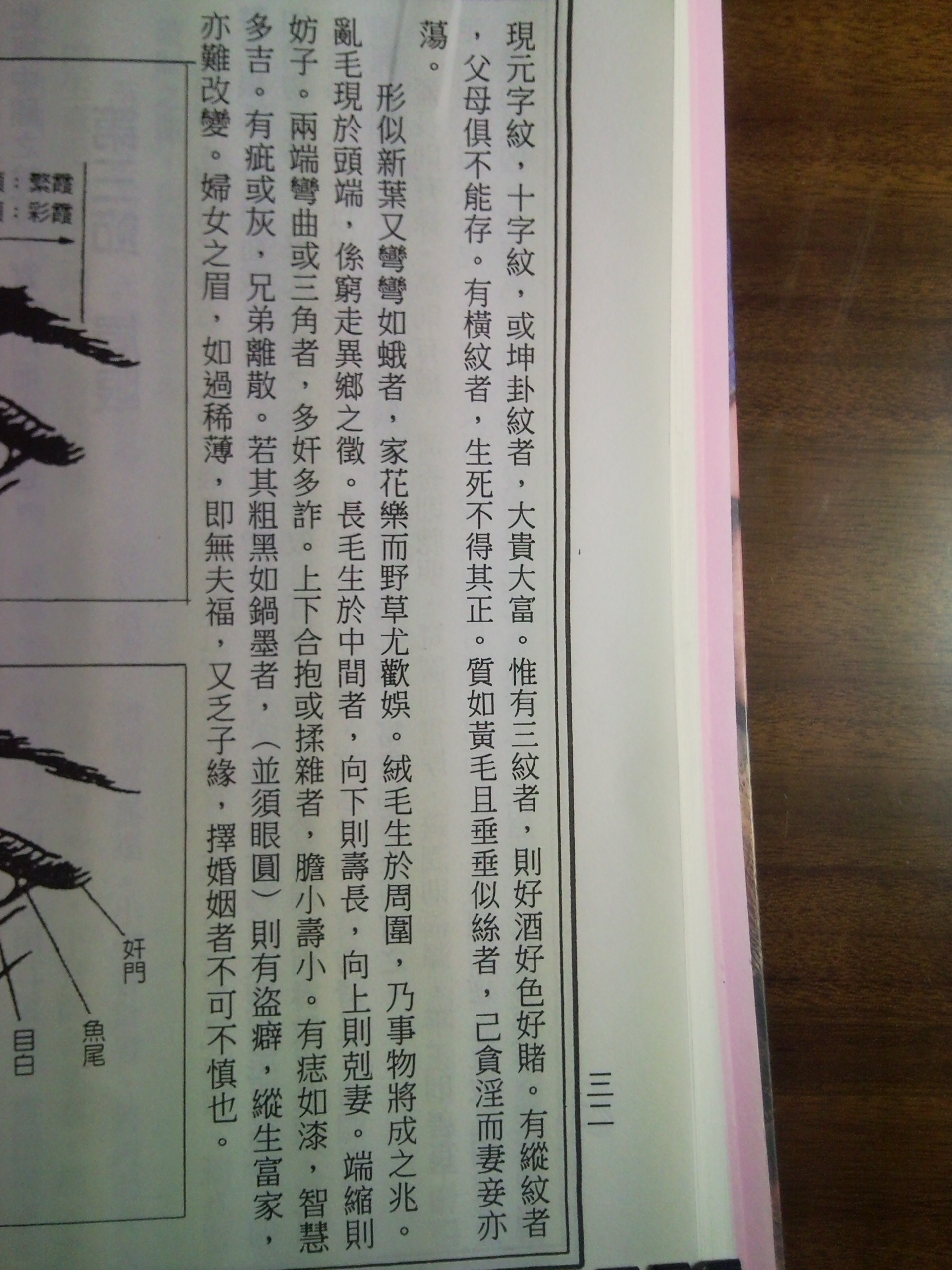 壽眉位置.jpg