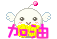 0051.gif