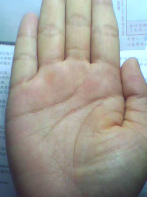 IMG0302A.jpg