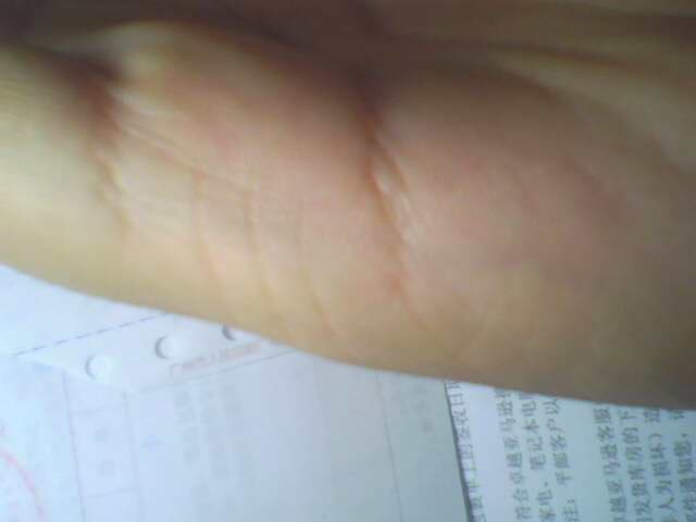 IMG0305A.jpg
