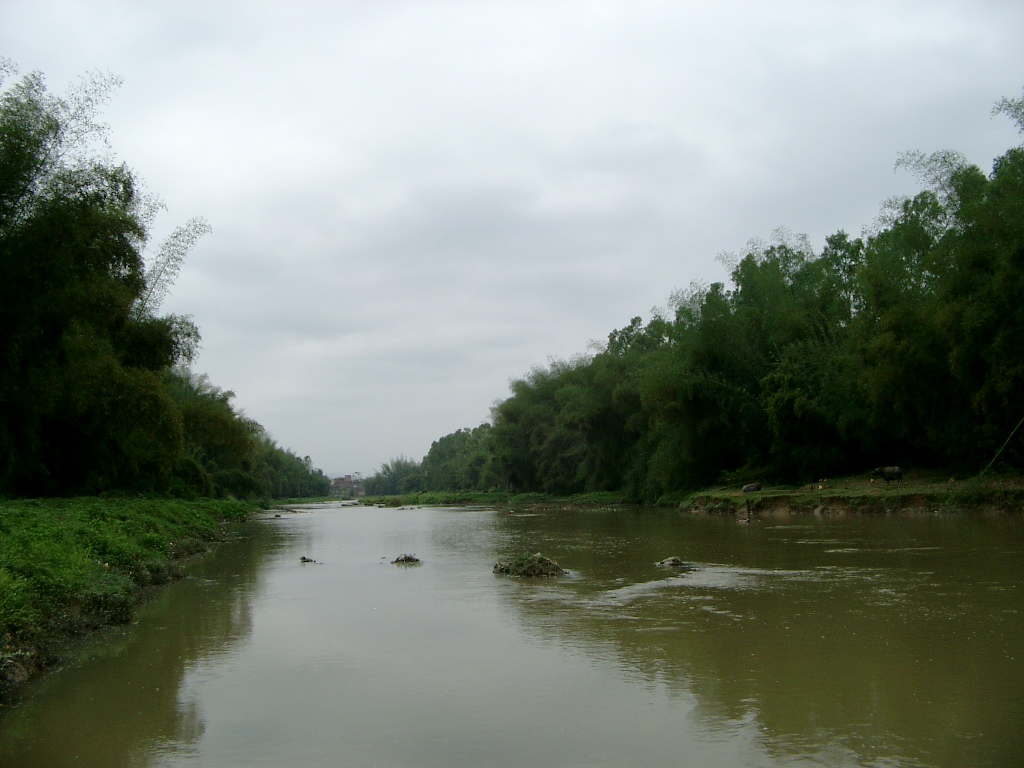 背后大河风景0.JPG