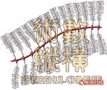 bone02.jpg