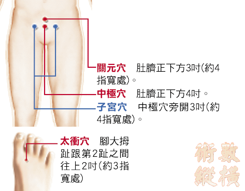 穴道.gif