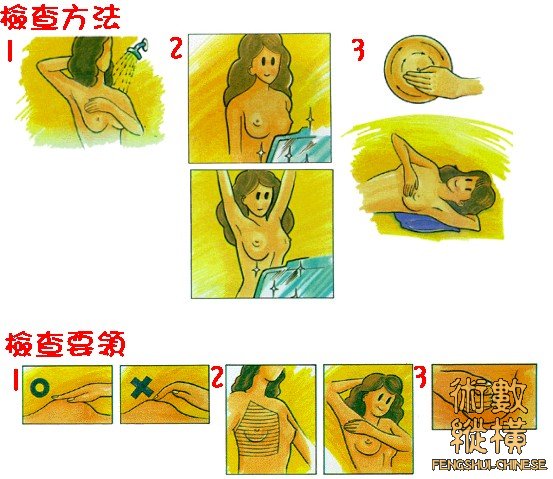 檢查.jpg