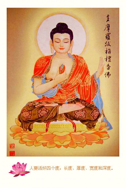17766286_77.jpg