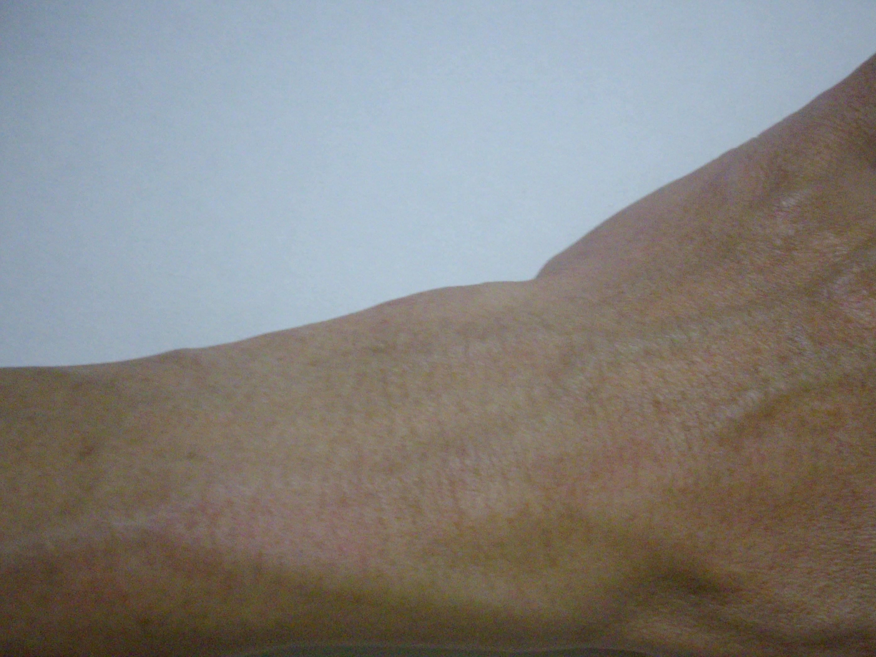 20081108左一.JPG
