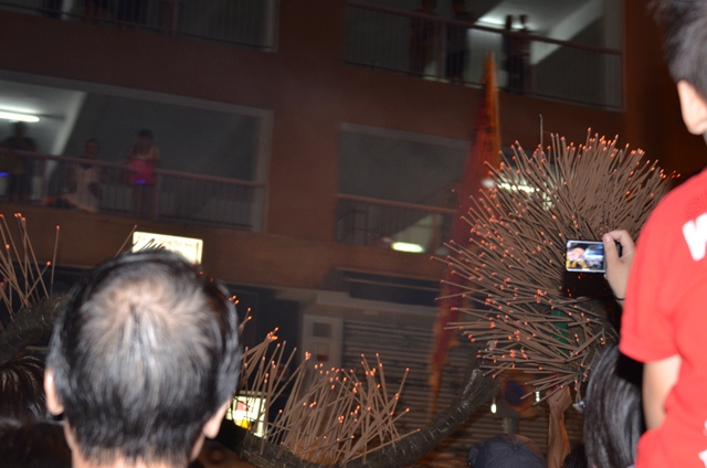 firedragon11.jpg