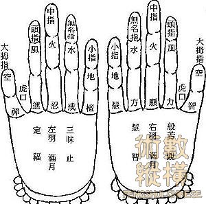 指秘.jpg
